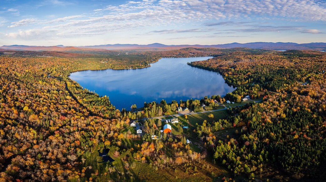 Grandes Bosques del Norte