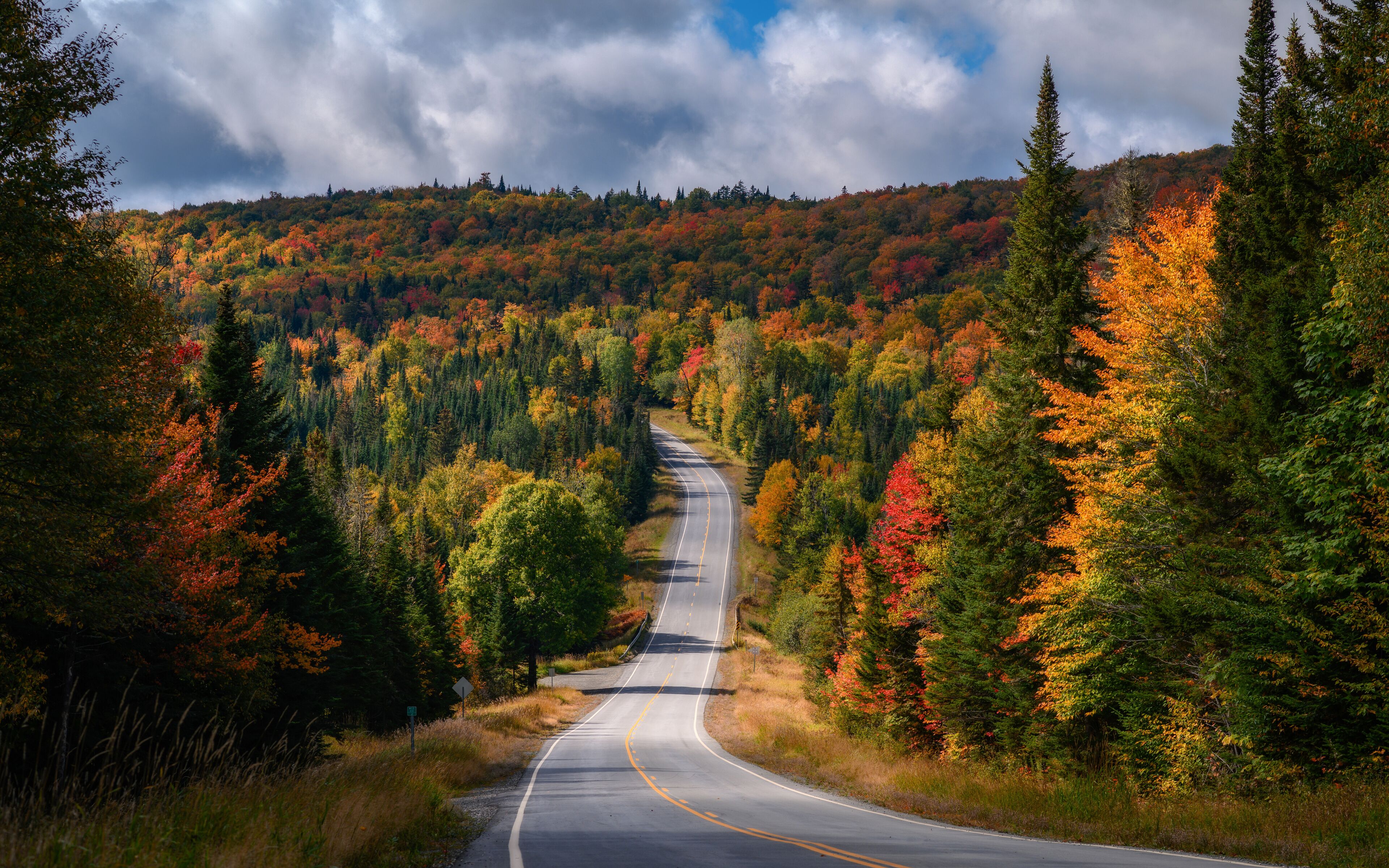 Grandes Bosques del Norte