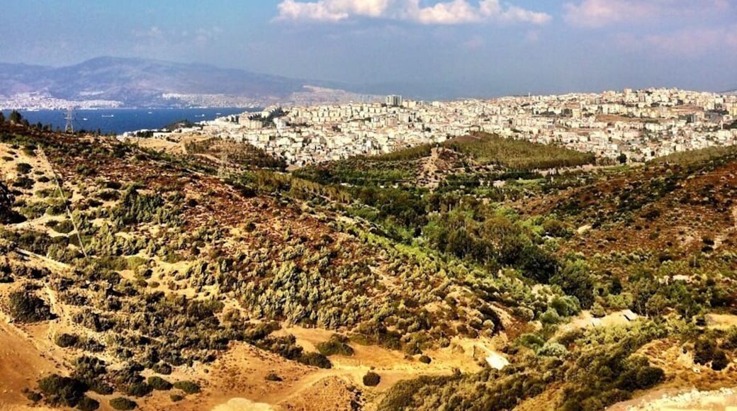 İzmir city and harbour view from Balcova hills