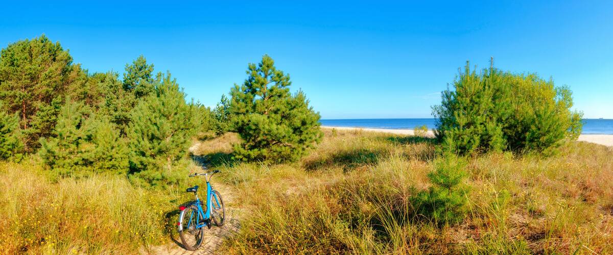 A bicycle parked on a sandy path with dense greenery and a beach in the background.