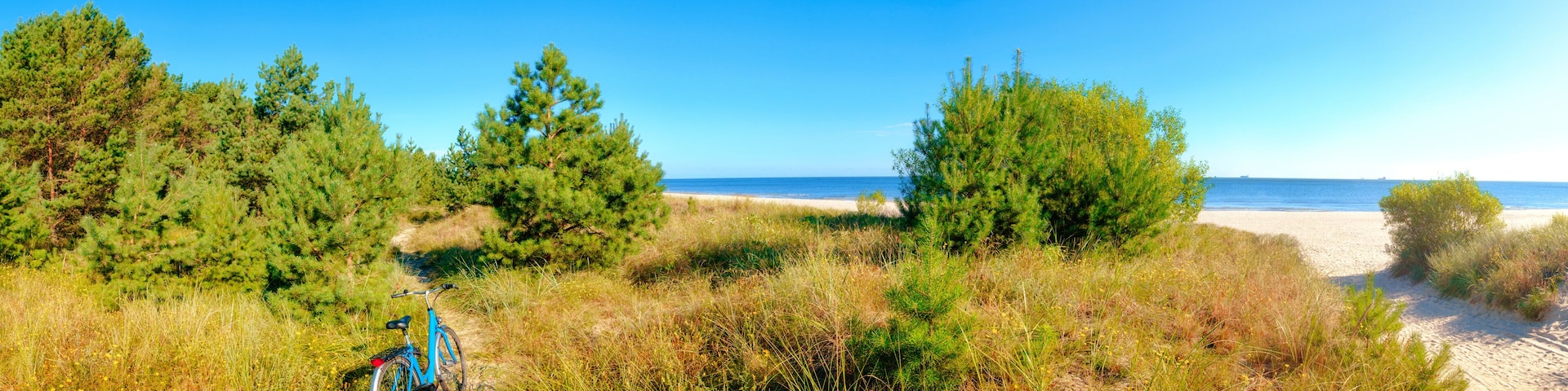 A bicycle parked on a sandy path with dense greenery and a beach in the background.