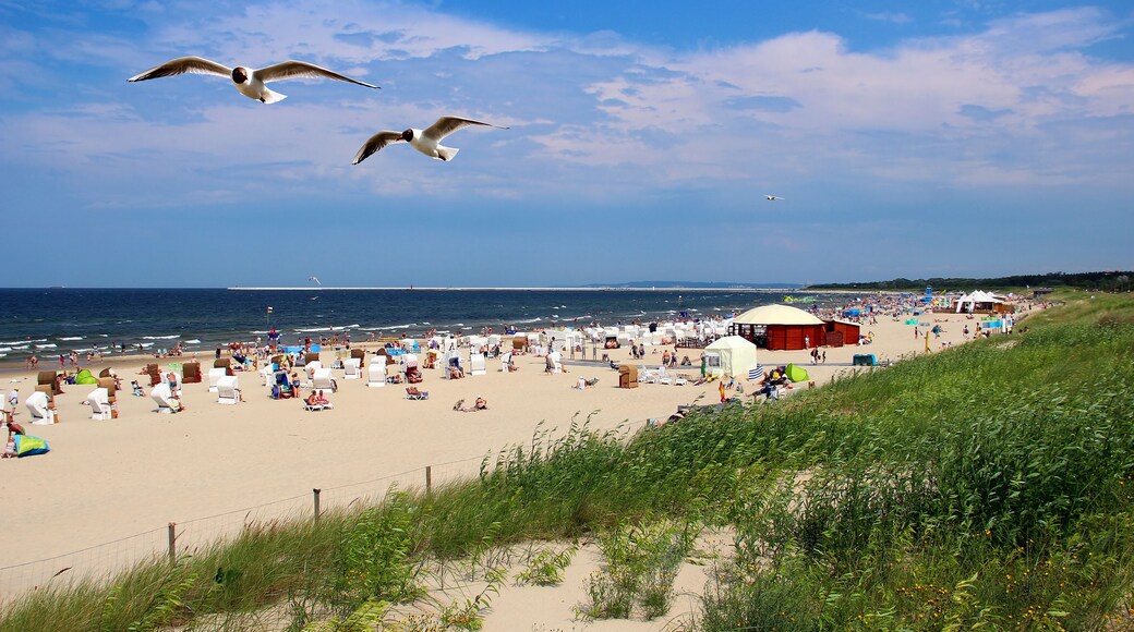 希维诺乌伊希切