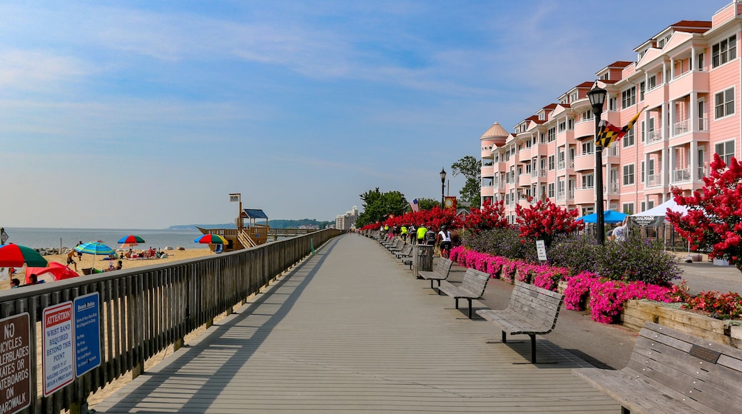 North Beach Maryland Boardwalk with annuals in Full Bloom
