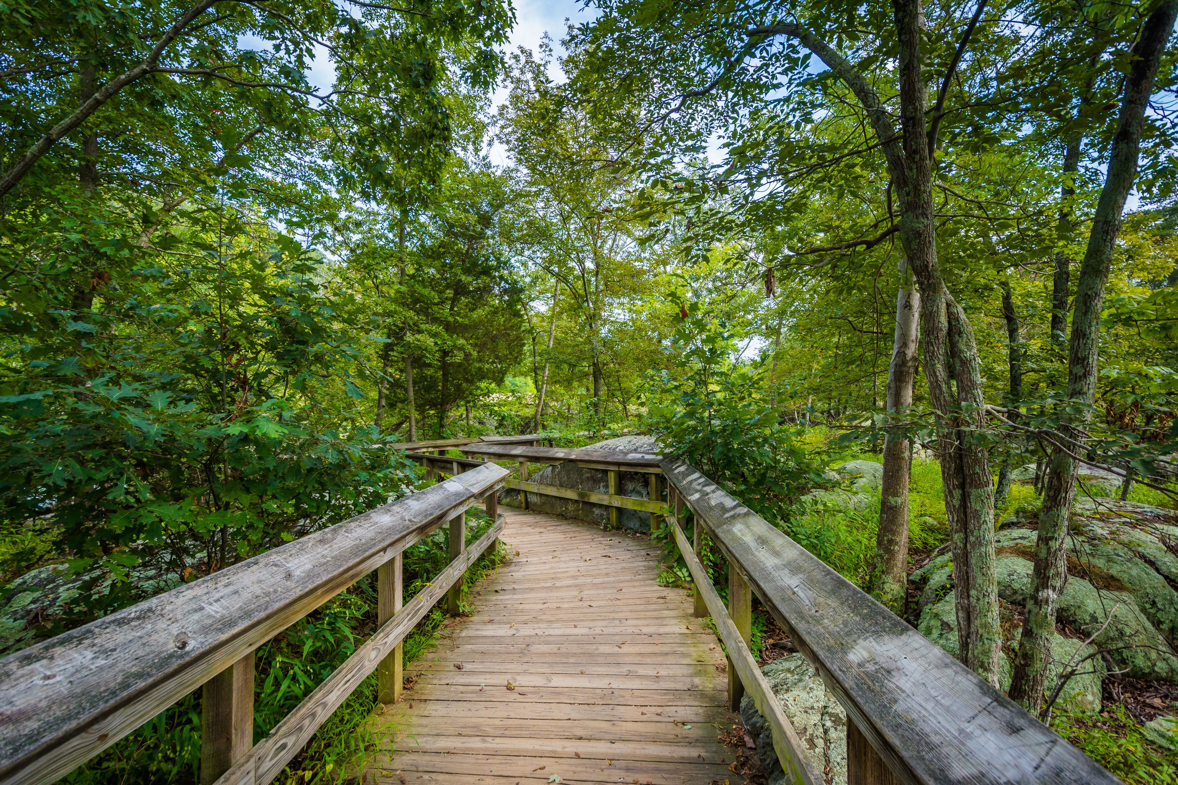 Boardwalk trail on Olmsted Island at Great Falls, Chesapeake & O