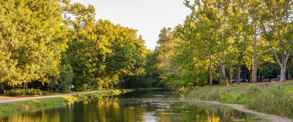 A calm river with dense trees on both sides, a clear sky, and a pathway along the riverbank.