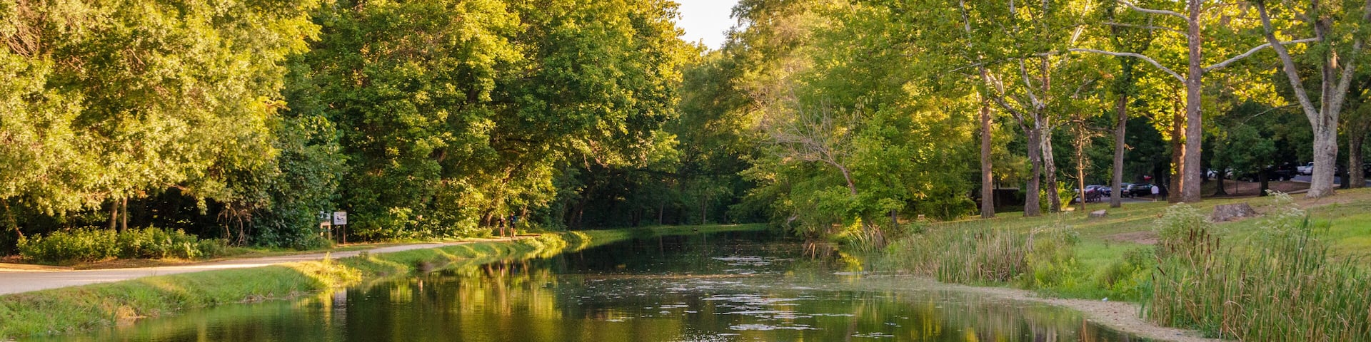 A calm river with dense trees on both sides, a clear sky, and a pathway along the riverbank.