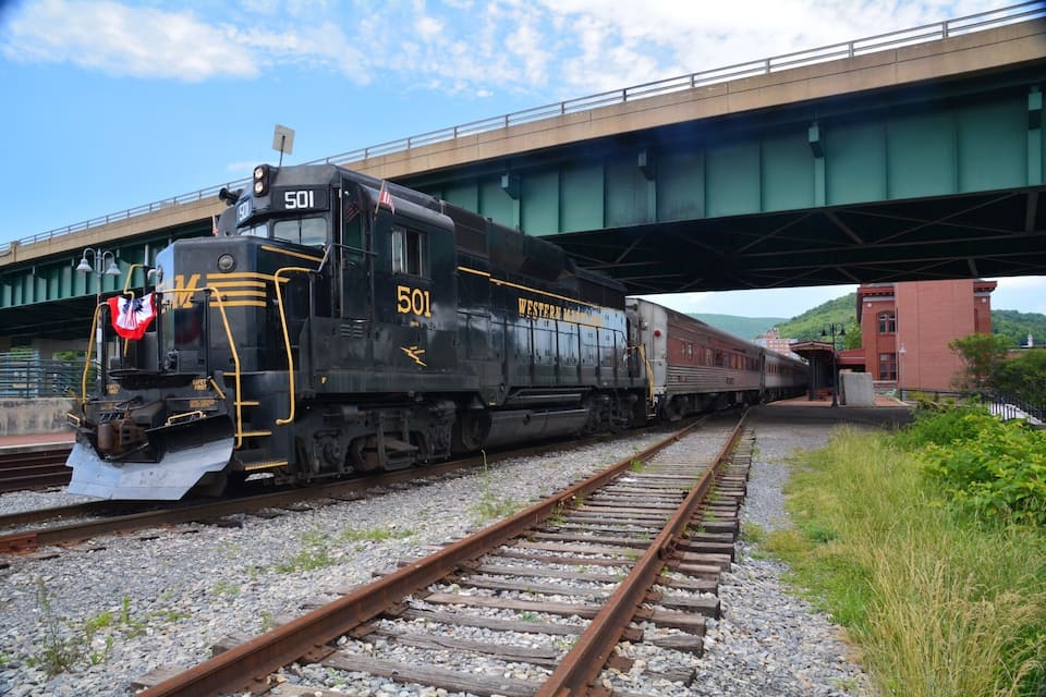 A train numbered 501 on tracks under a bridge.