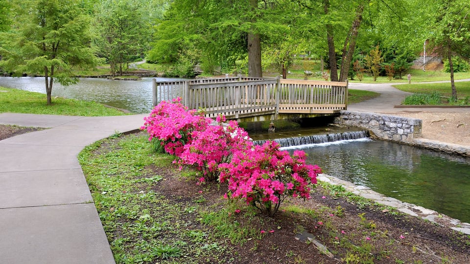 A park with a pond, a wooden bridge, and pink flowering bushes.