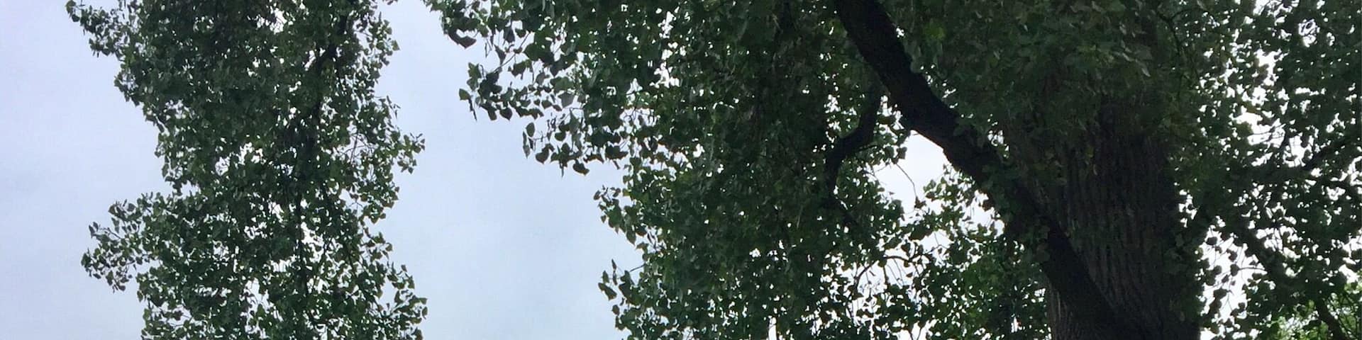 Built on property purchased by German immigrant Johnathan Hager in 1739 the house was completed in 1740. It has 22 inch stone walls which offered protection from attack and the elements. Johnathan Hager would go on to run a trading post from this home. By 1745 he had purchased more land and become quite prosperous. He would sell this house to the Rohrer family, descendants of whom would live here until 1954 when the house was left to the City of Hagerstown. A city which is named after Johnathan Hagar, one of its first residents!