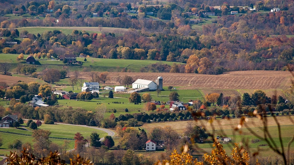 Fall Colors in Frederick, Maryland