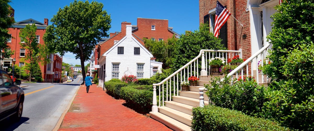 A street with red brick buildings, a white house with a red roof, and an American flag.