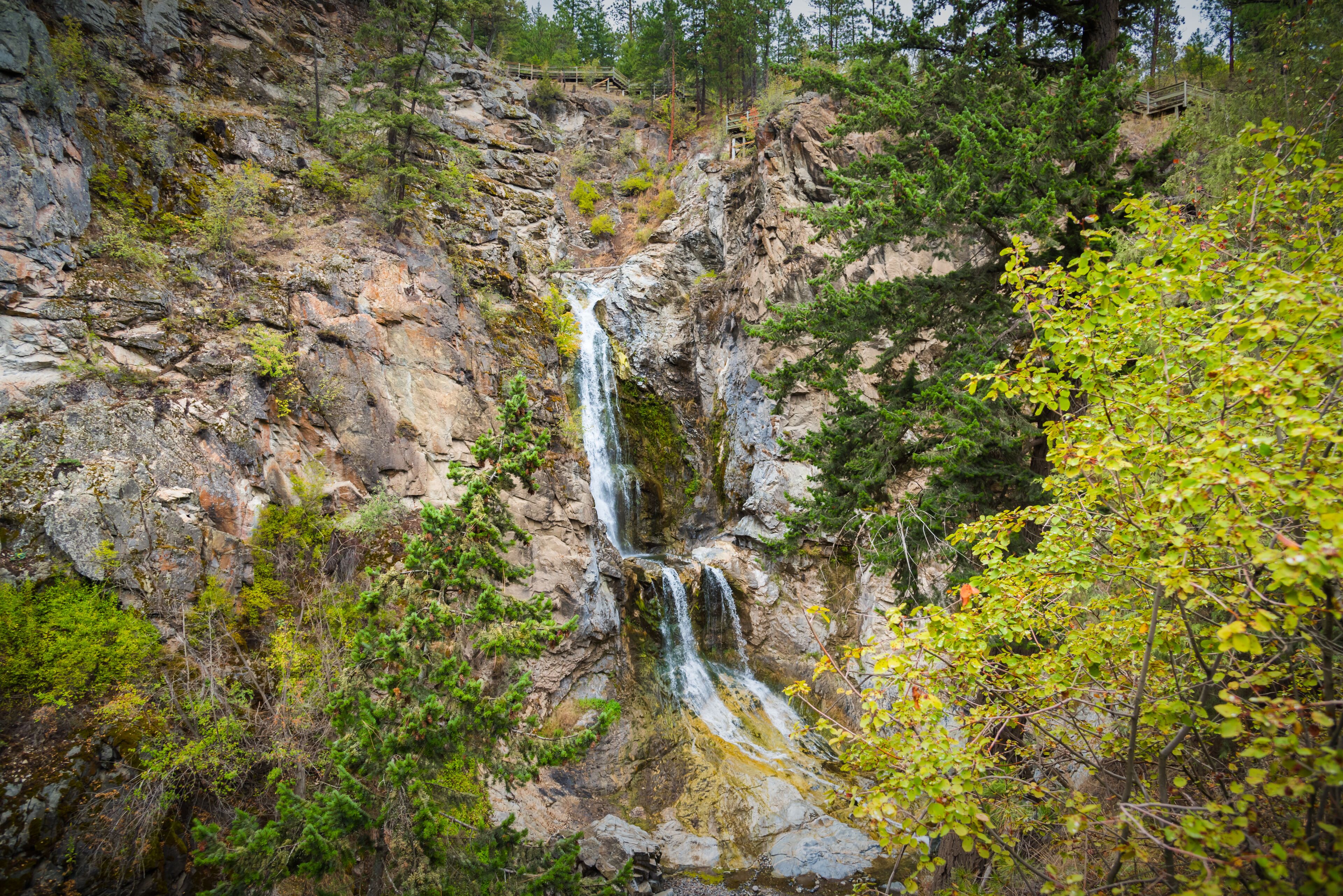 Fintry Falls and Shorts Creek Gorge with viewing platform and stairs above the falls