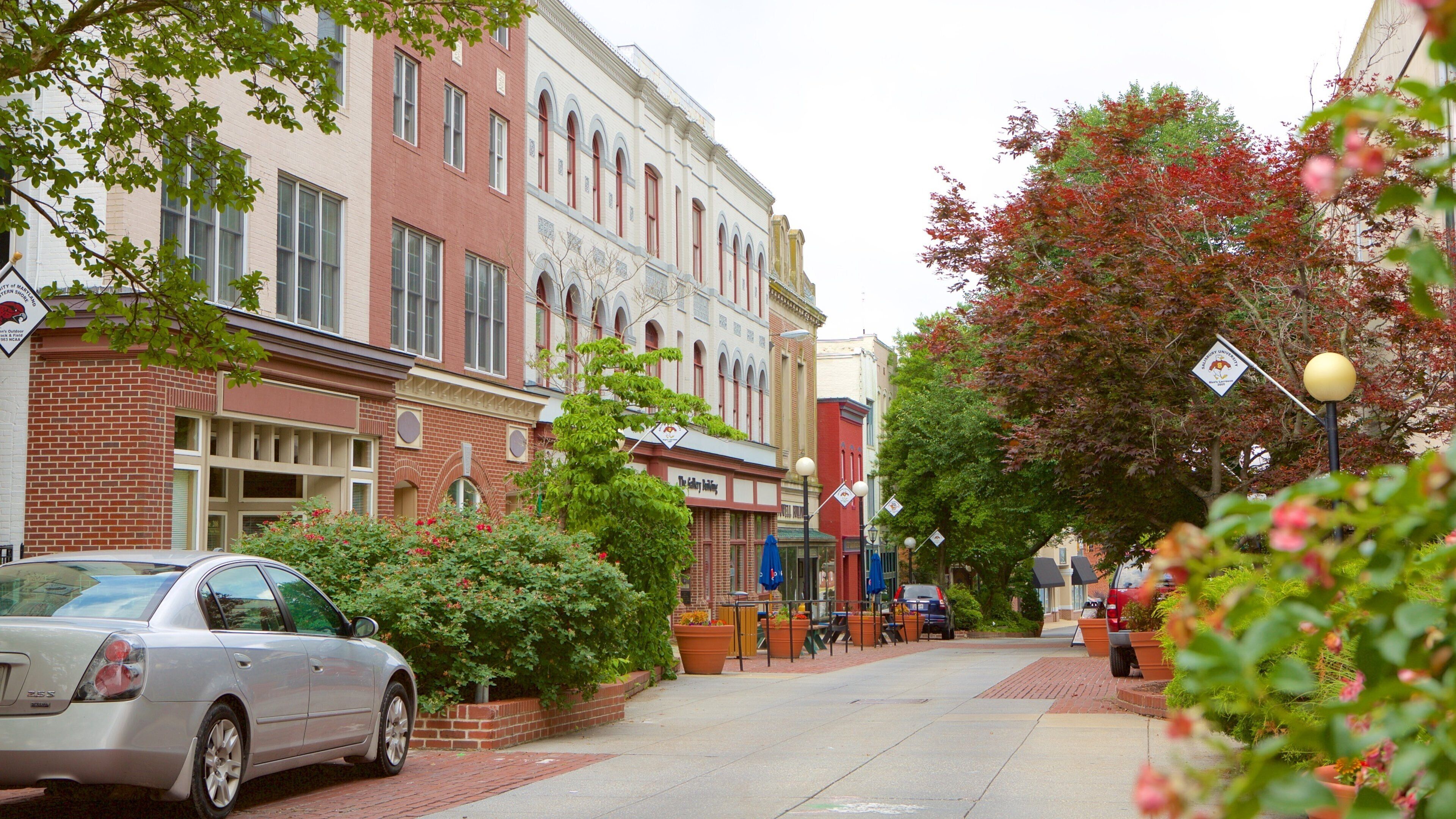 A street lined with historic buildings, a parked car, and autumn foliage.