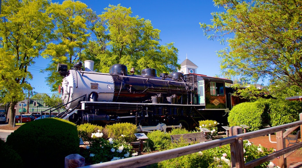 Bethesda which includes railway items and heritage elements