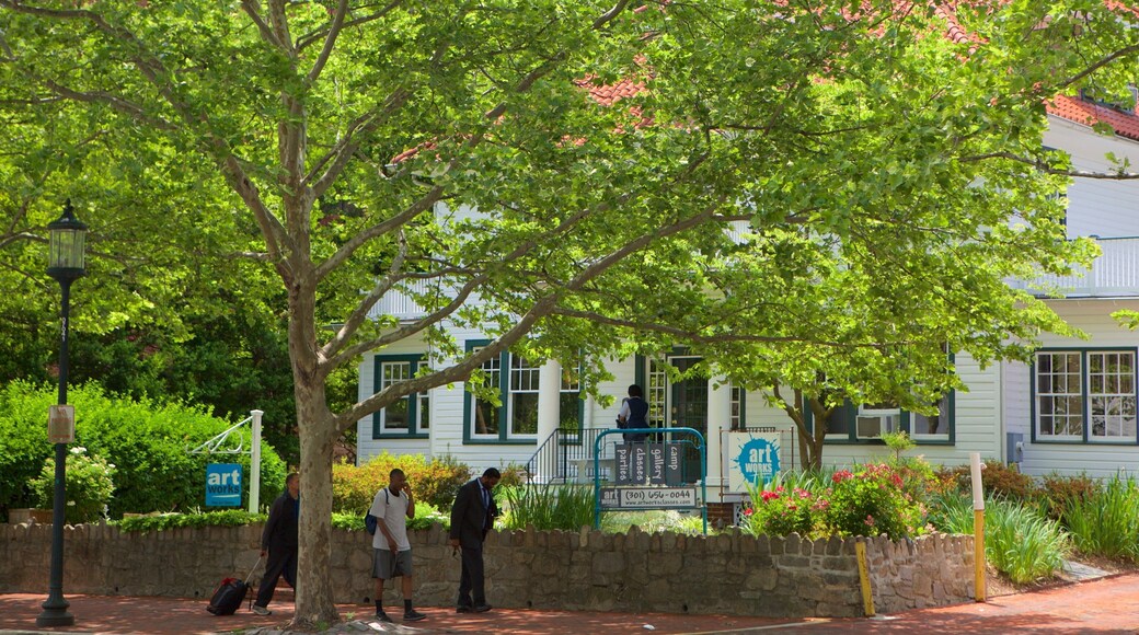 Bethesda, MD featuring a house and a park