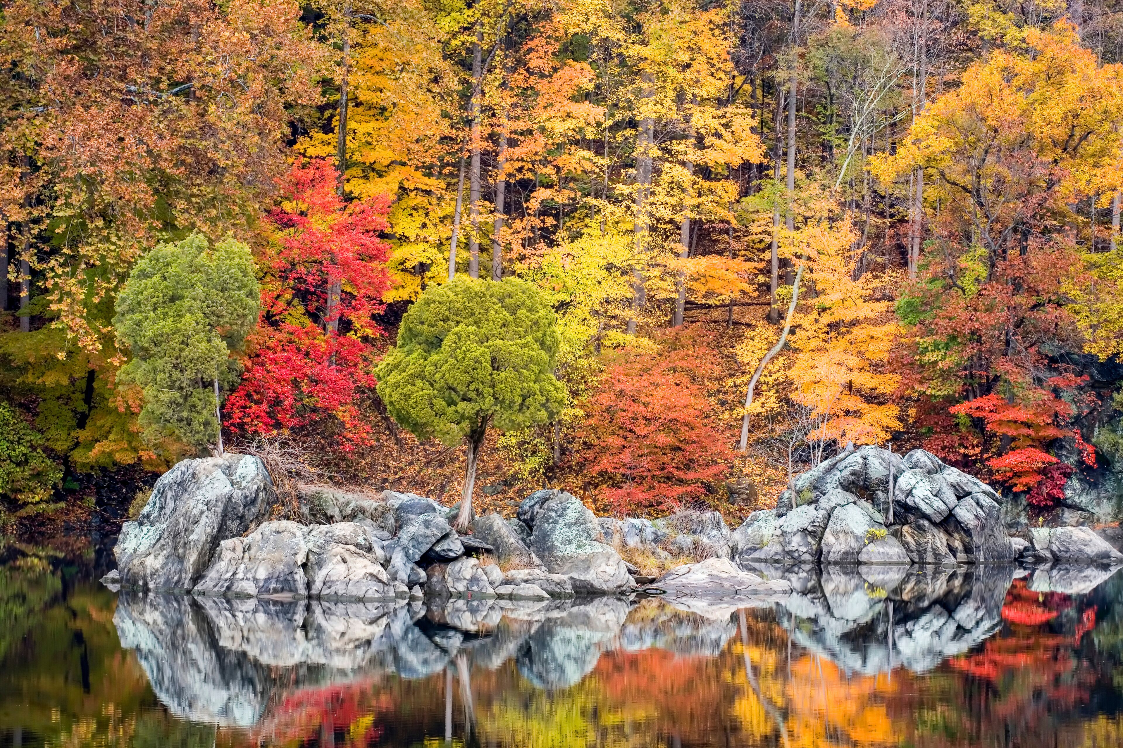 A serene lake surrounded by autumn-colored trees with a rocky shoreline.