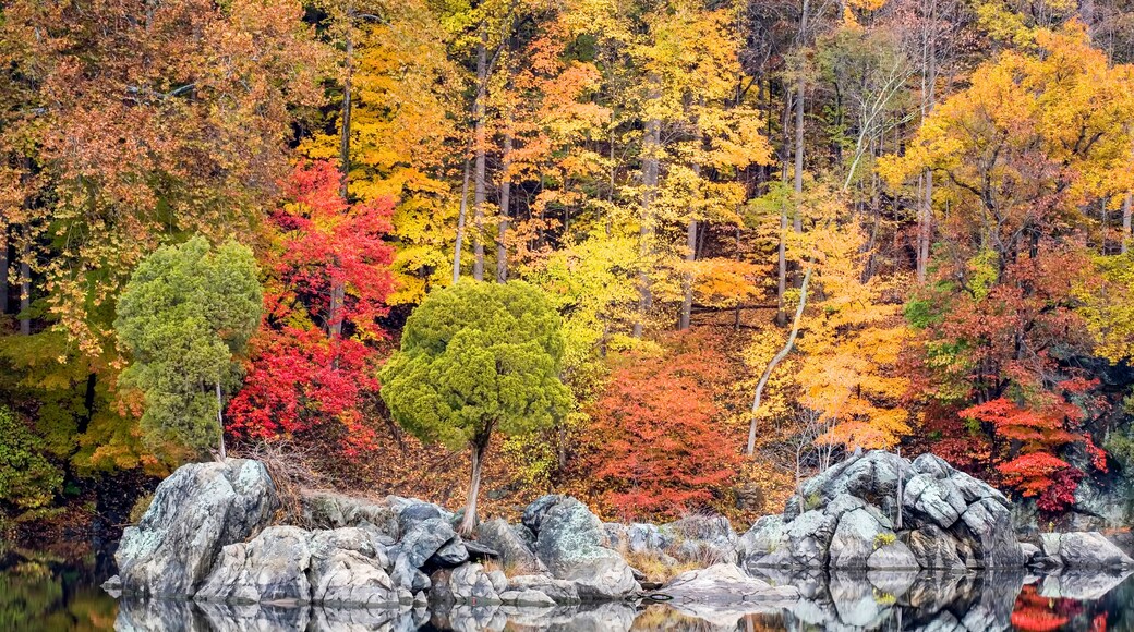 A serene lake surrounded by autumn-colored trees with a rocky shoreline.