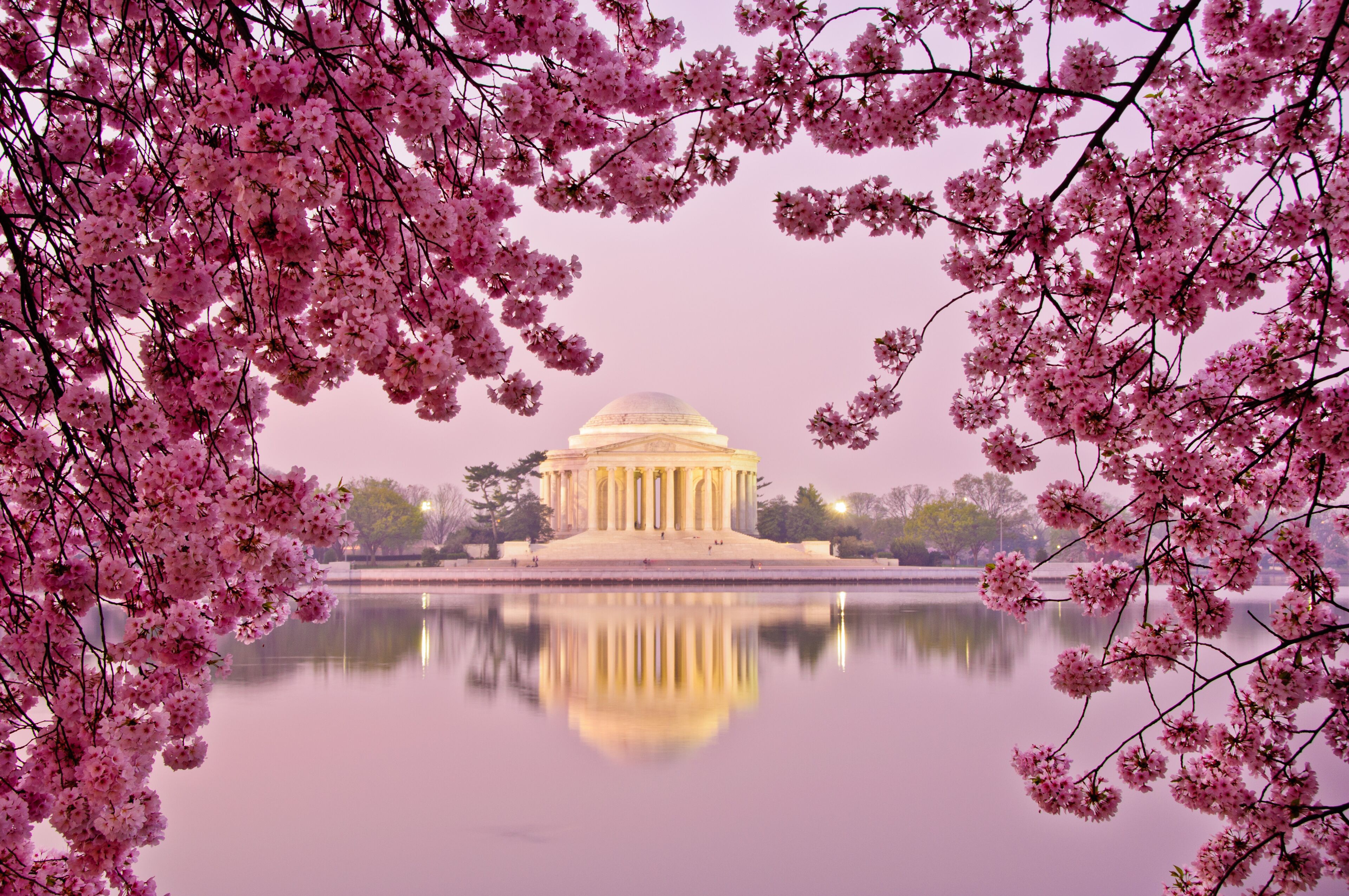 A building with a dome, surrounded by a body of water and cherry blossoms.