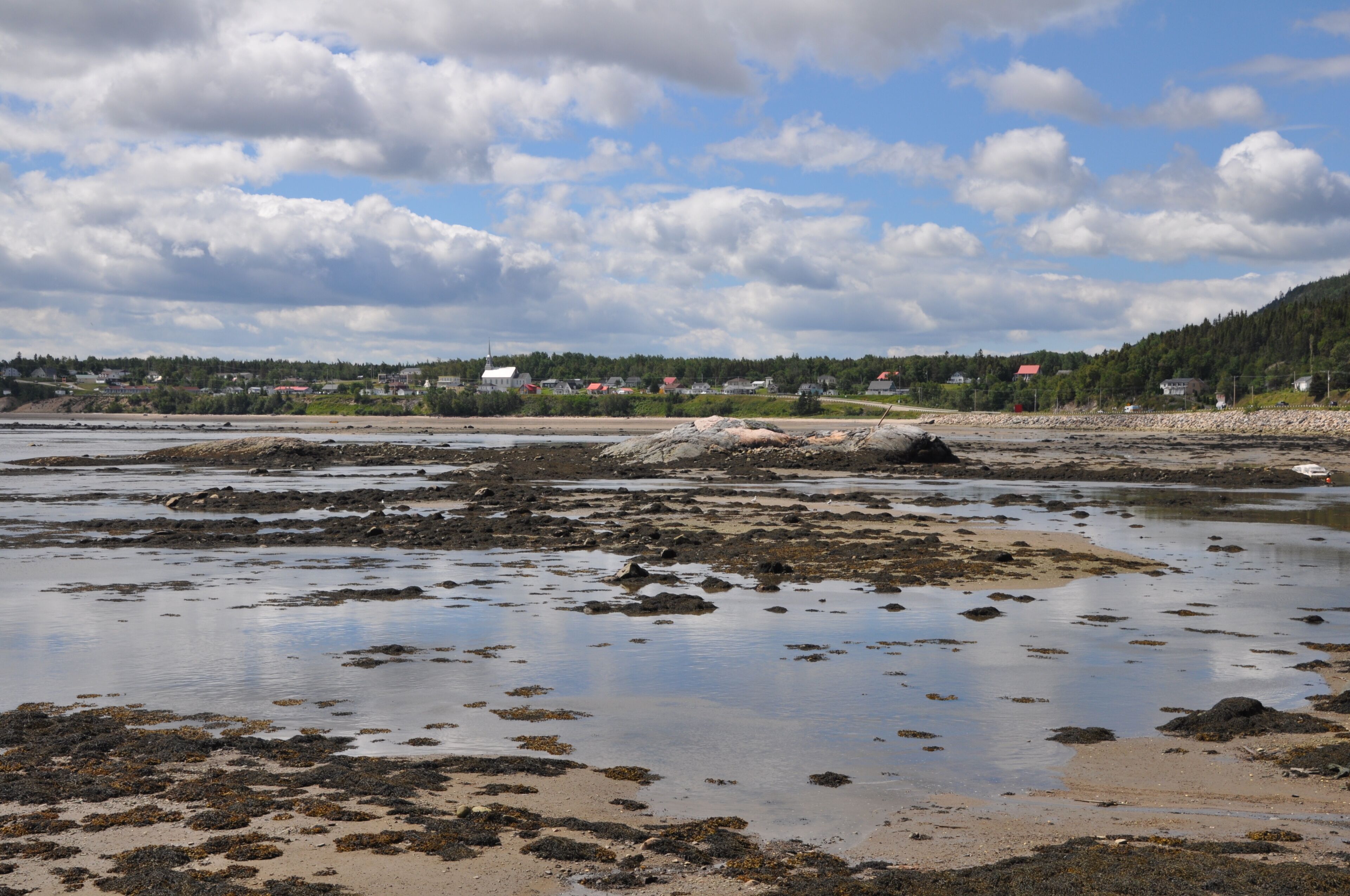 باي سانت كاثرين