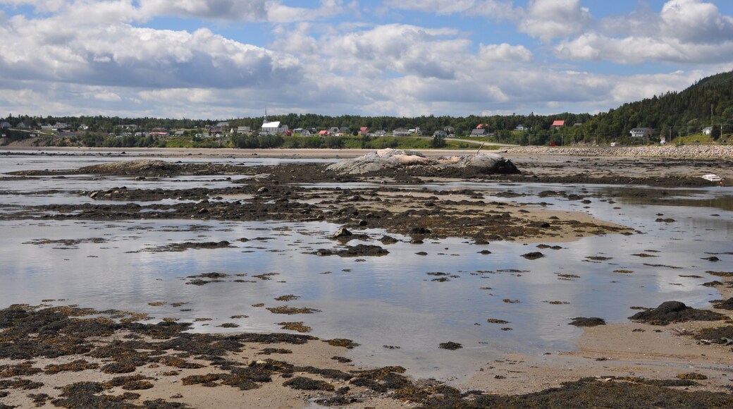 باي سانت كاثرين