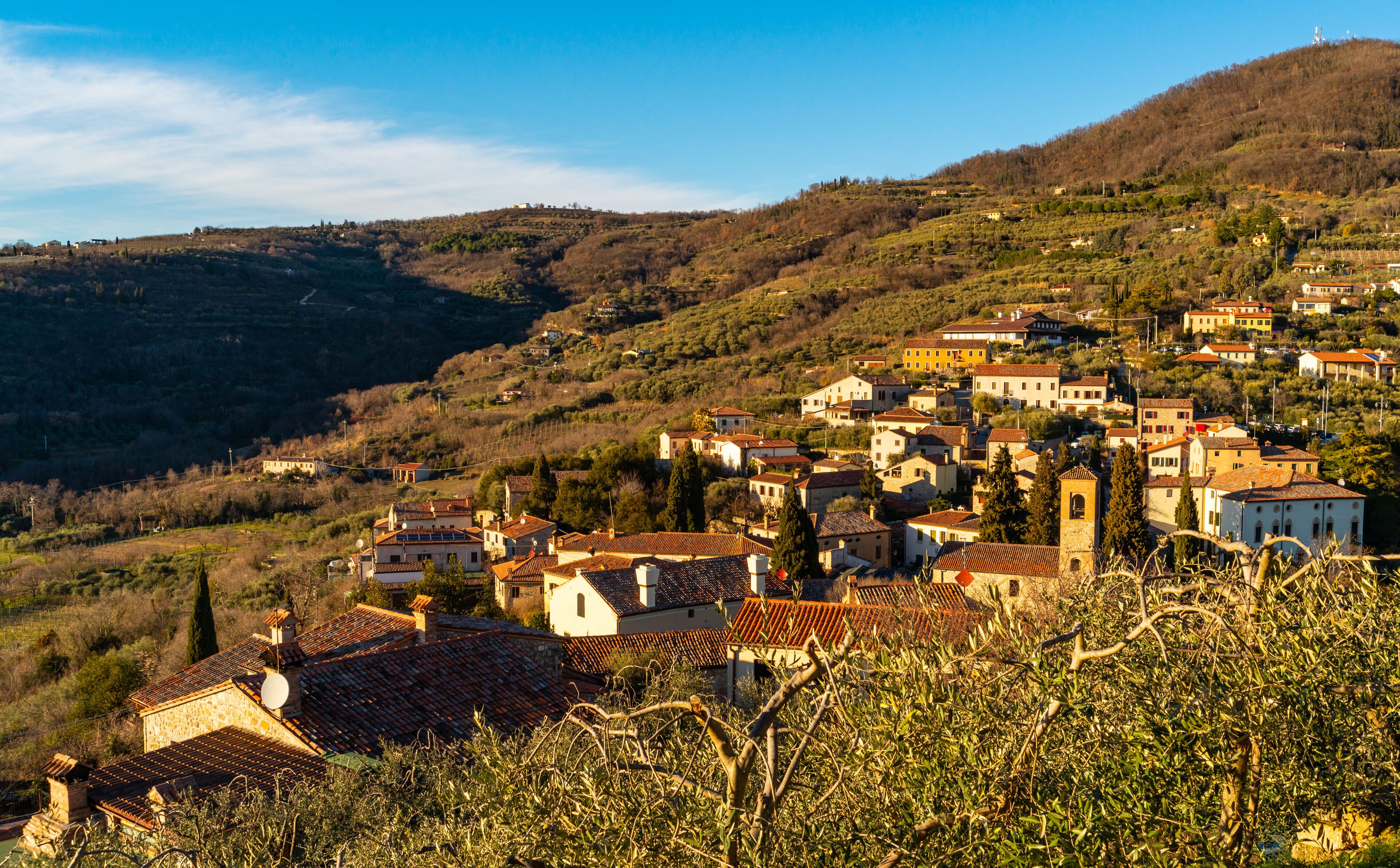 A hillside village with terracotta-roofed buildings, olive groves, and a clear blue sky.