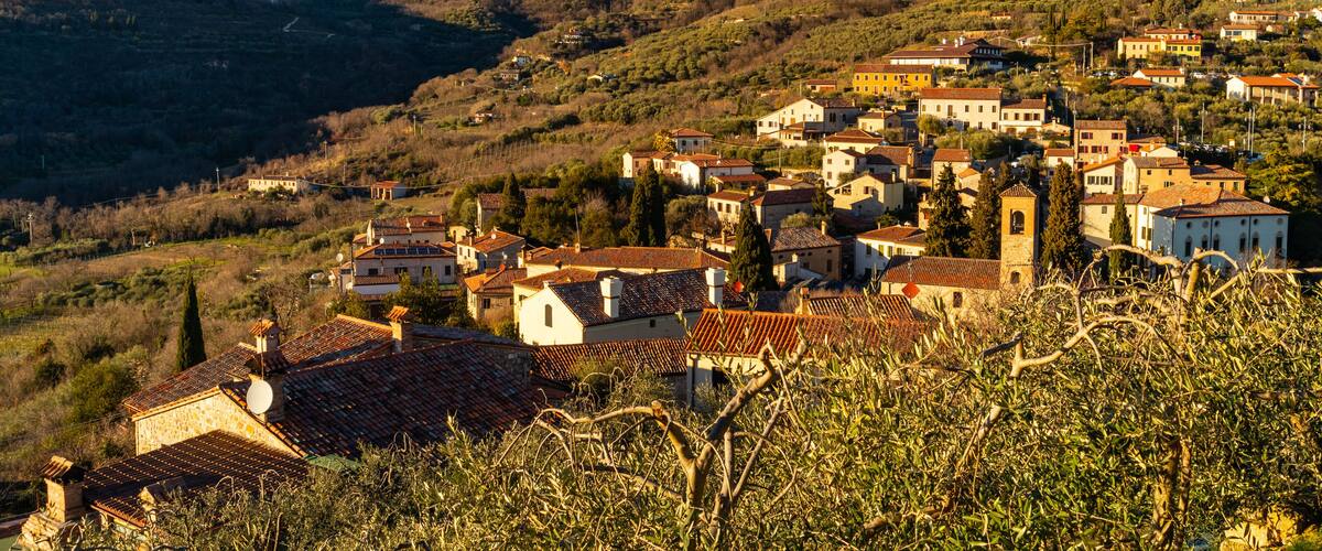 A hillside village with terracotta-roofed buildings, olive groves, and a clear blue sky.