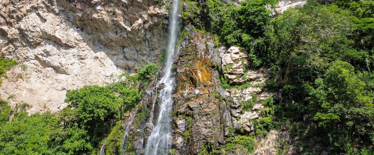 A waterfall cascading down a rocky cliff surrounded by lush greenery.