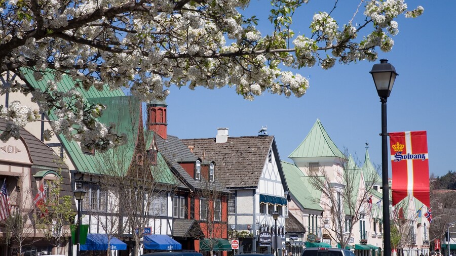 Santa Ynez Valley featuring street scenes