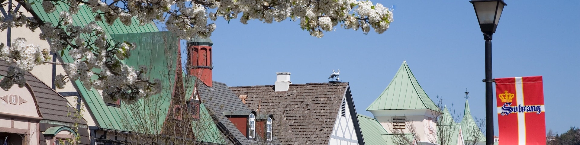 Santa Ynez Valley showing street scenes