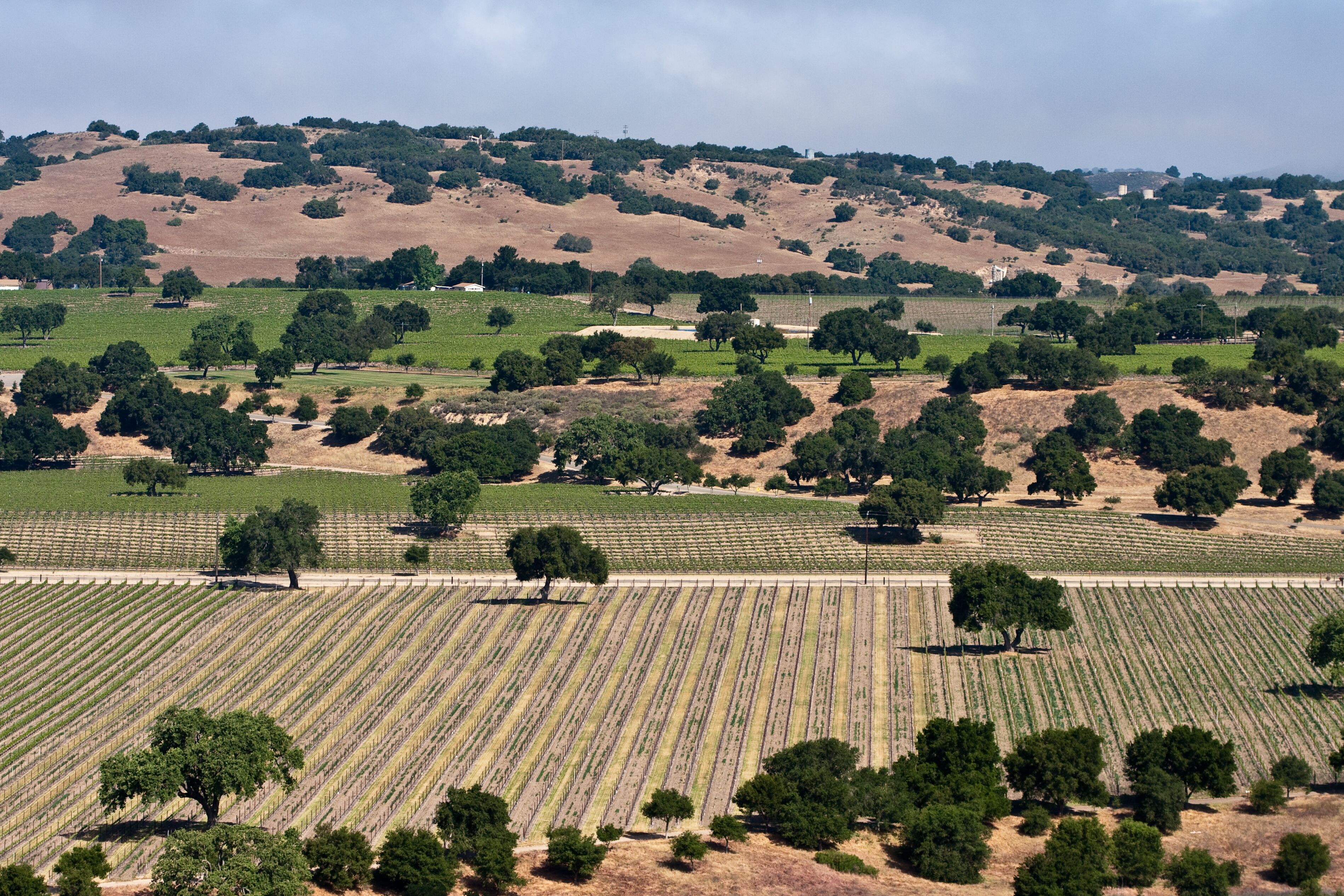 Santa Ynez Valley; Shutterstock ID 32504335