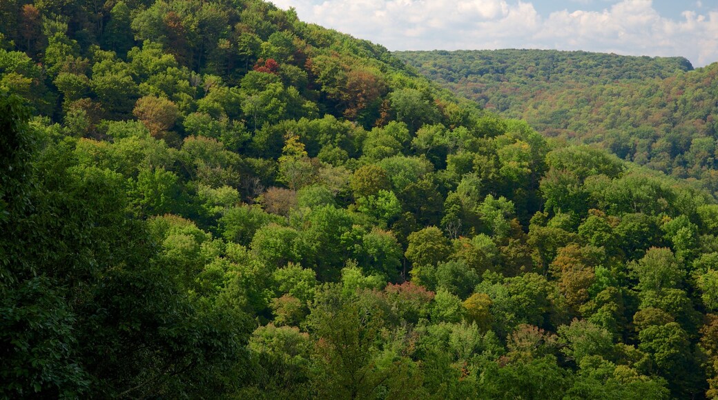 Northwest Pennsylvania