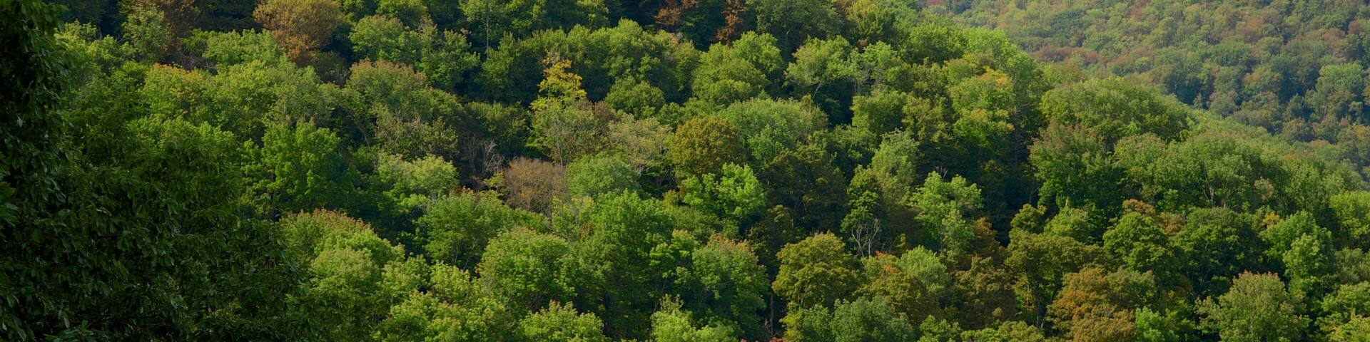 Northwest Pennsylvania