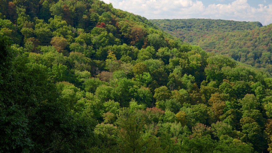 Northwest Pennsylvania