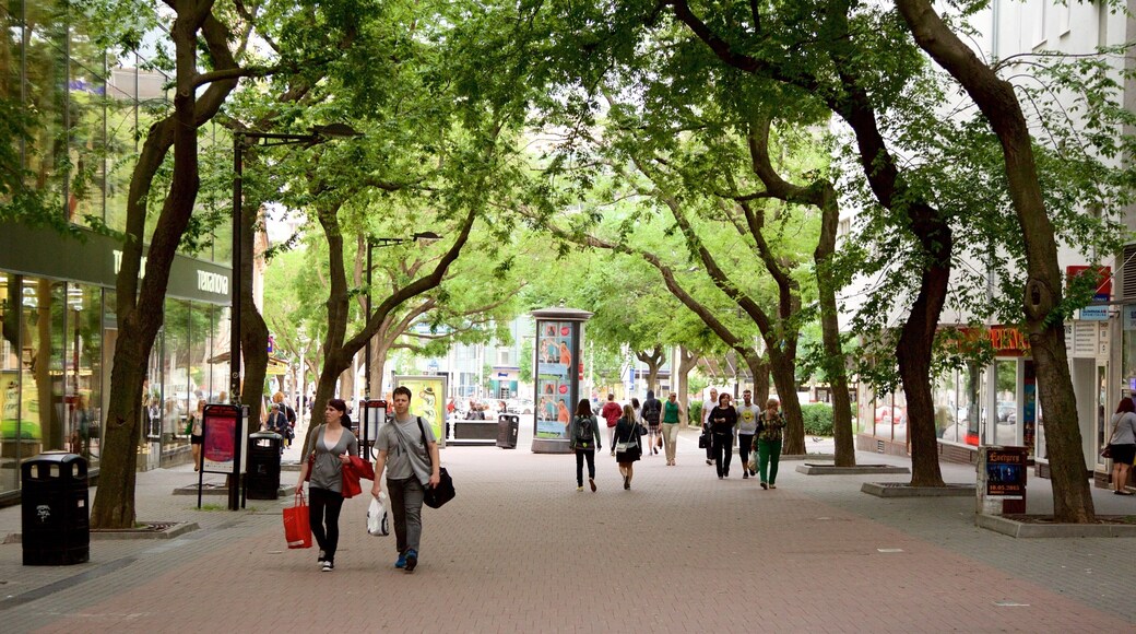 Western Slovakia showing street scenes as well as a couple