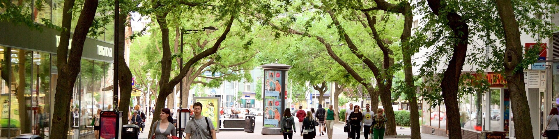 A tree-lined pedestrian walkway with people walking, shops, and a public information kiosk.