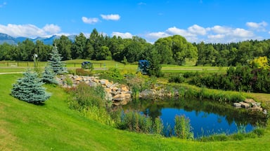 A serene landscape with a pond, lush greenery, and distant mountains.