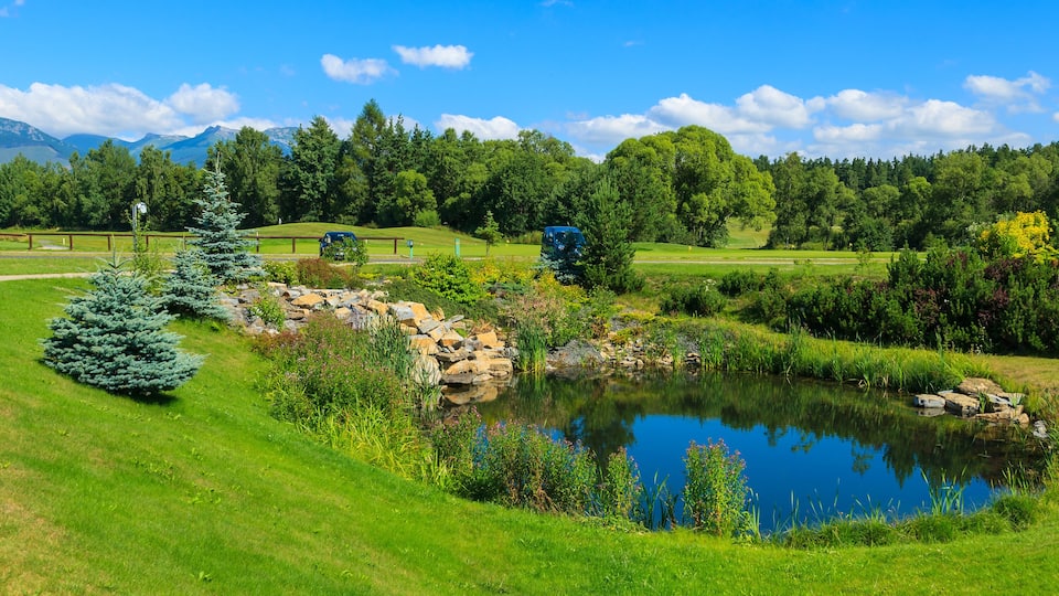A serene landscape with a pond, lush greenery, and distant mountains.
