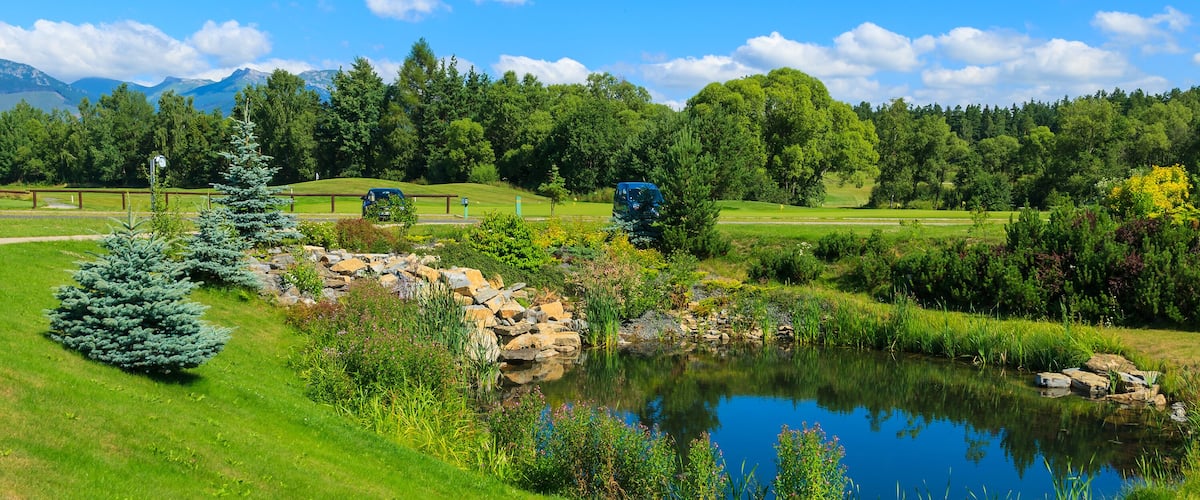 A serene landscape with a pond, lush greenery, and distant mountains.
