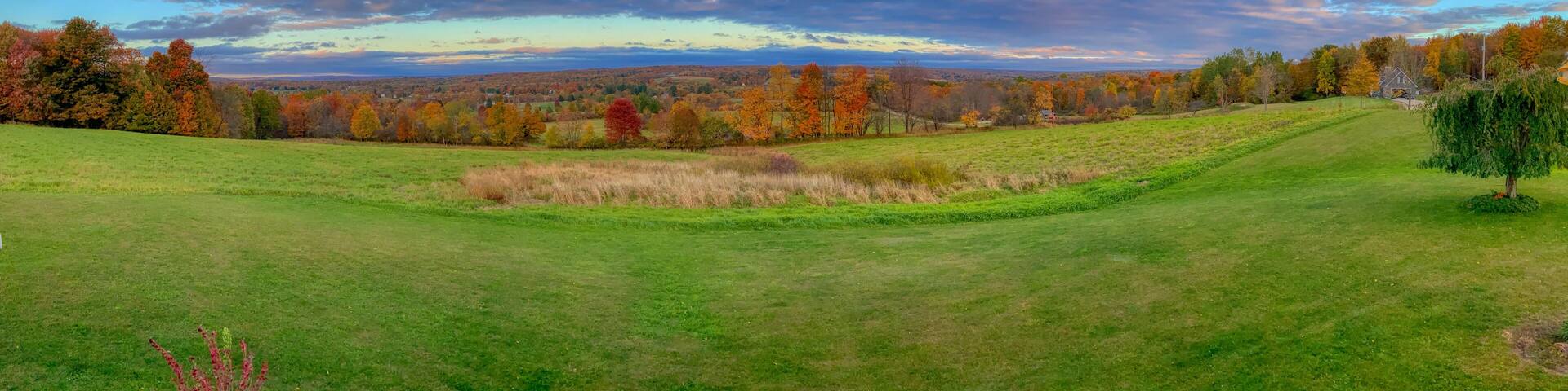 Panoramic shot of a field covered in greenery under a cloudy sky in autumn in Pennsylvania