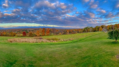 Panoramic shot of a field covered in greenery under a cloudy sky in autumn in Pennsylvania