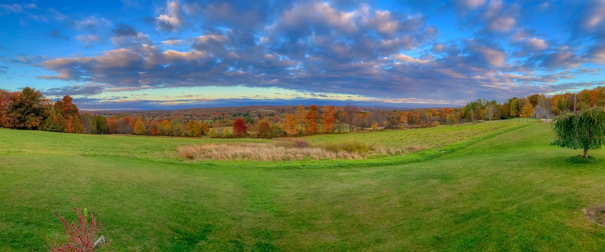 A grassy field with autumn-colored trees and a distant view of a town.