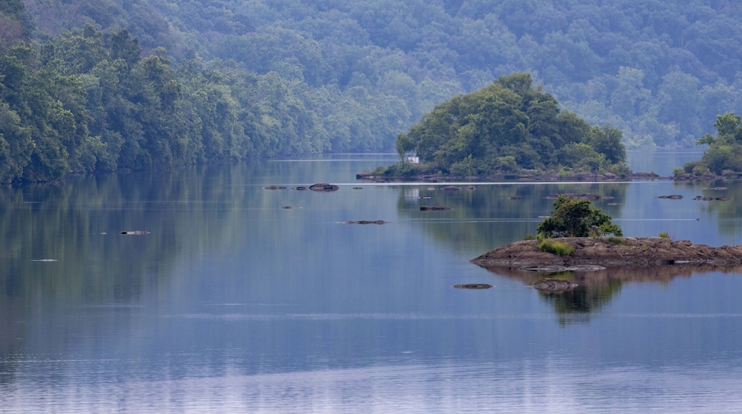 Williamsport