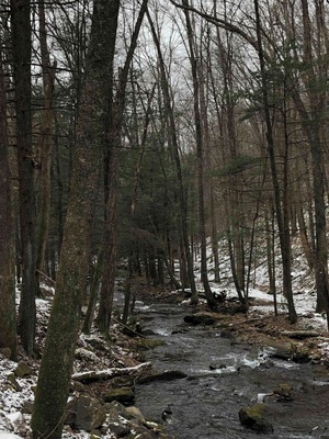 Beautiful creek and trails to hike off of Little Bear Creek.