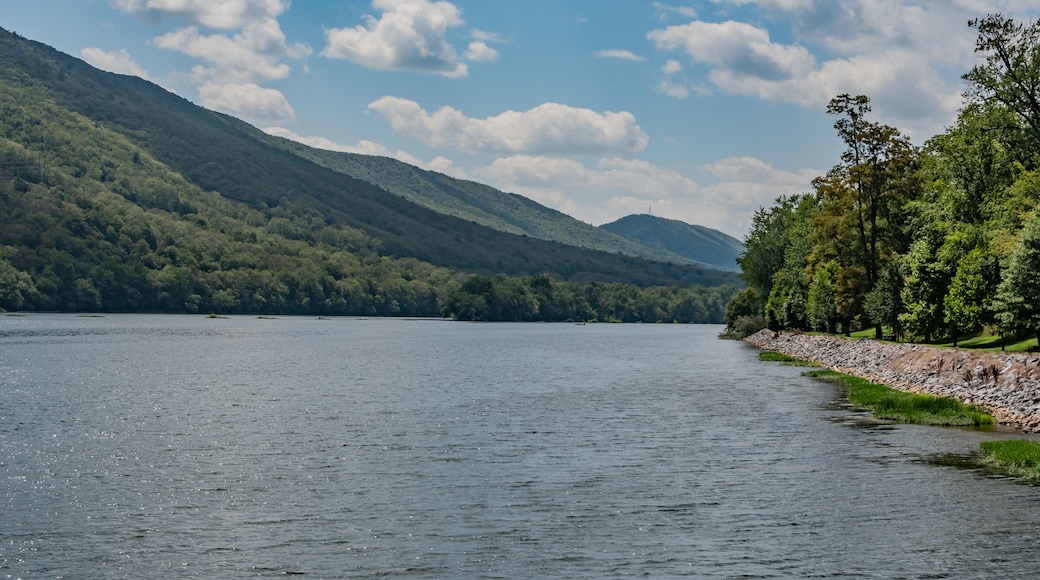 A Short Cruise on the Western Branch of the Susquehanna River, Williamsport PA USA