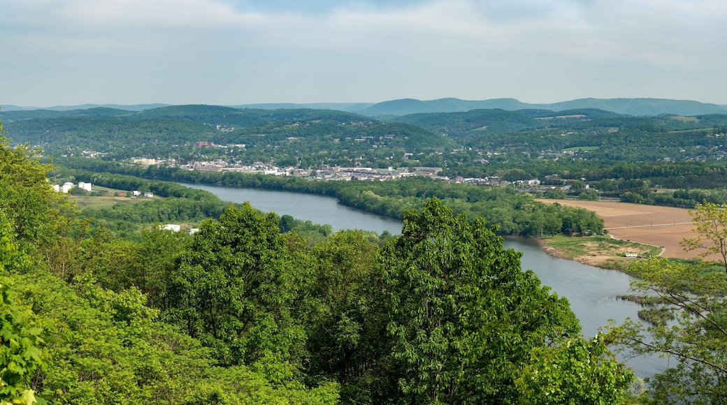 Williamsport View from Above