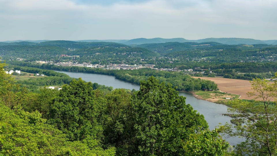 Williamsport View from Above