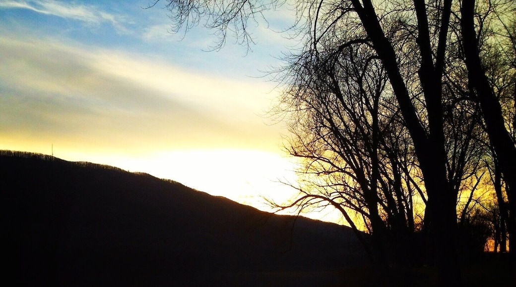 Williamsport, Pennsylvania, 2012.
The valley in Central PA that I grew up in was at least beautiful. Williamsport is situated amongst the Appalachians and along the Susquehanna River, which drains into the Chesapeake Bay. It was once known for having the most millionaires per capita, as the lumber capital of the world.
It is also the birthplace of Little League Baseball, and South Williamsport hosts the LL World Series each year.
This shot is at the edge of the Susquehanna, where Williamsport's infamous paddlewheel riverboat is dropped & docked.