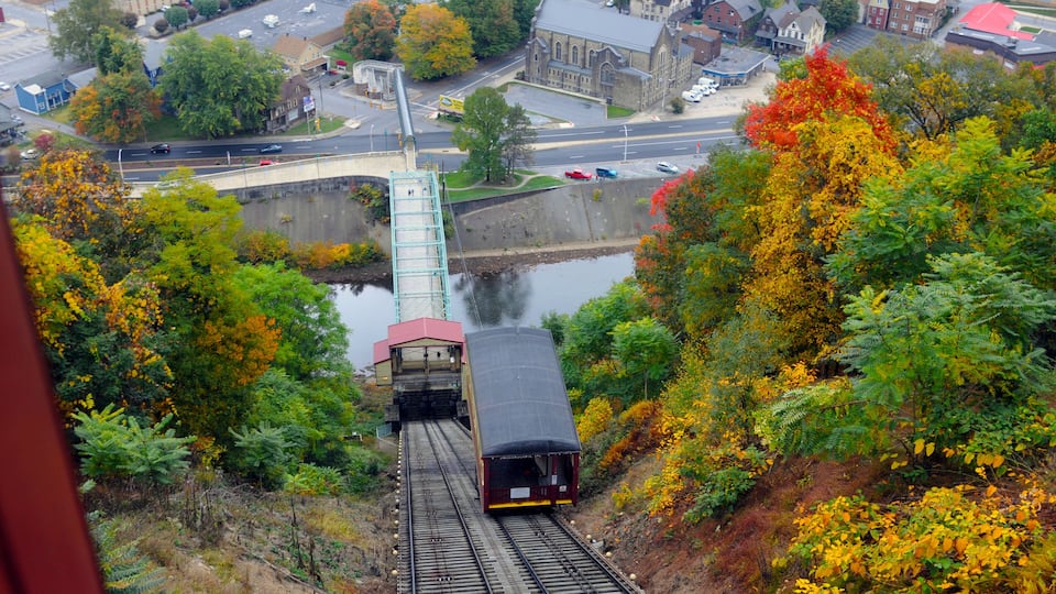 A train descending a steep incline, surrounded by autumn foliage and a small body of water.