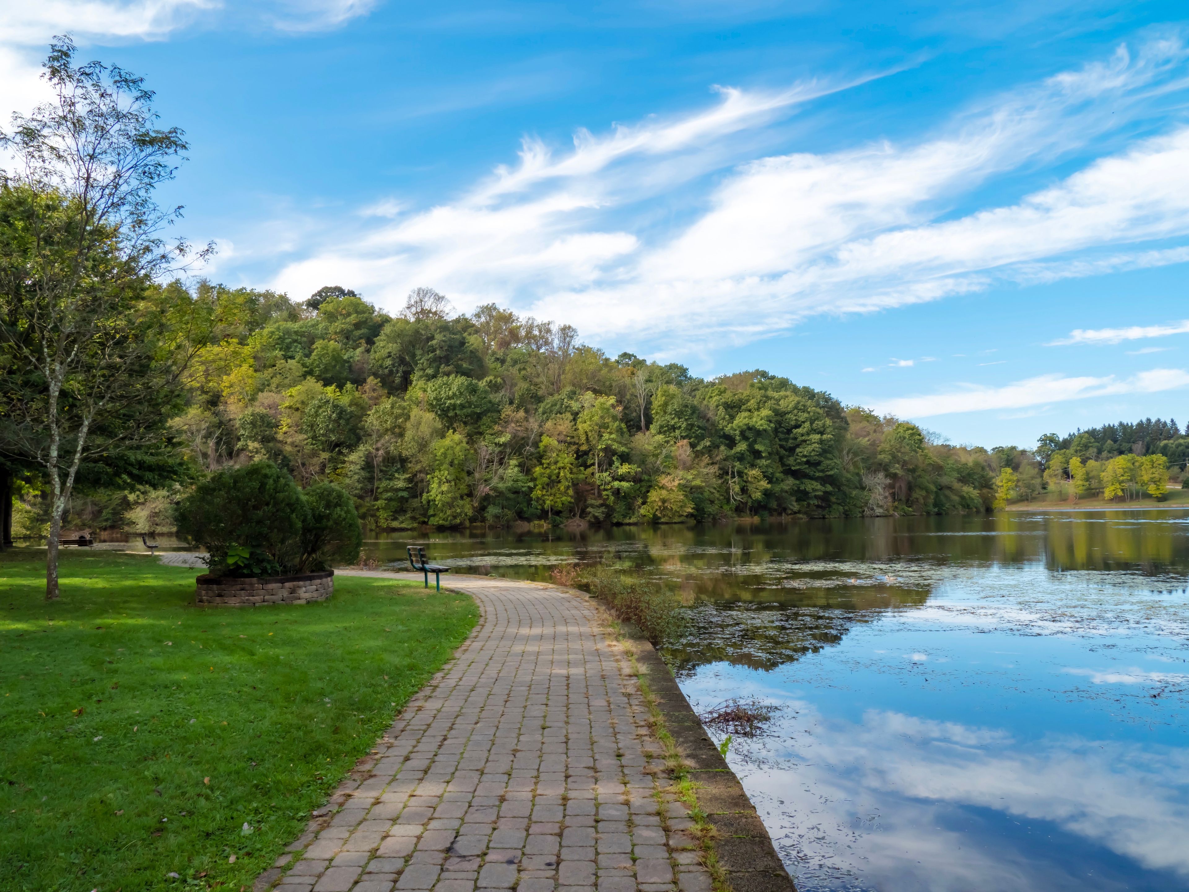 A paved walkway beside a calm lake, surrounded by lush green trees and a clear blue sky.