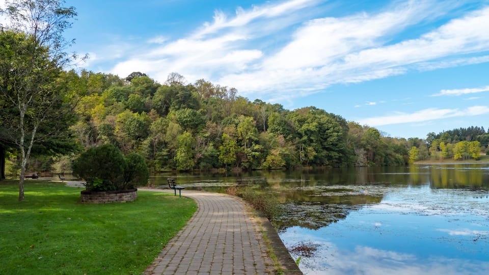 A paved walkway beside a calm lake, surrounded by lush green trees and a clear blue sky.
